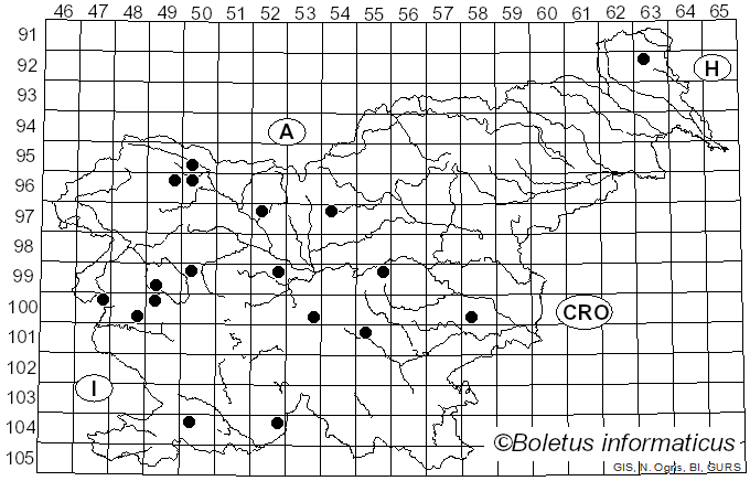 <i>Trichia decipiens</i> (Pers.) T. Macbr. (1899)