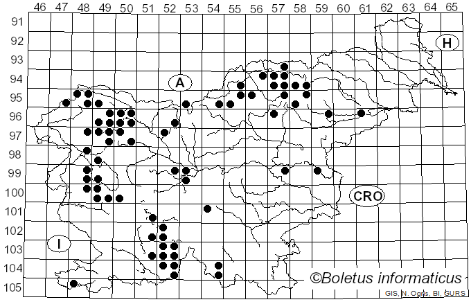<i>Physcia</i> (Schreb.) Michx. (1803)