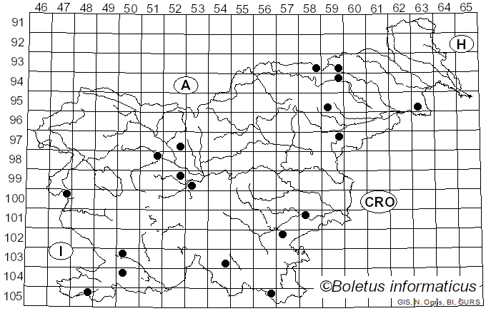 <i>Inonotus cuticularis</i> (Bull.) P. Karst. (1880)