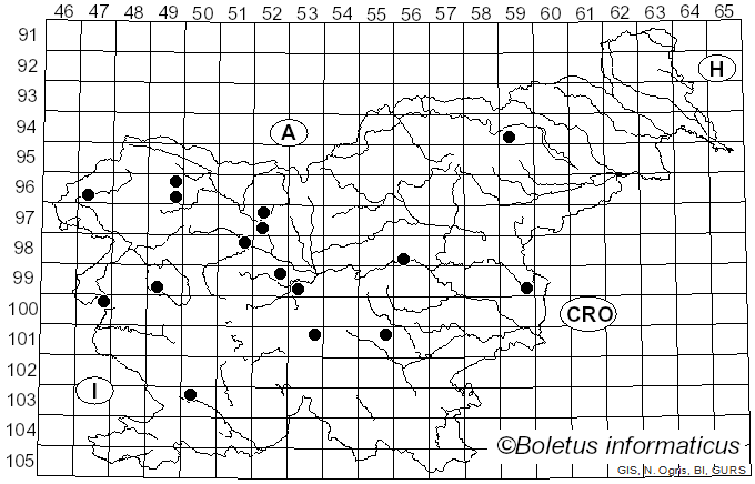<i>Dermoloma cuneifolium</i> (Fr.) Singer (1955)