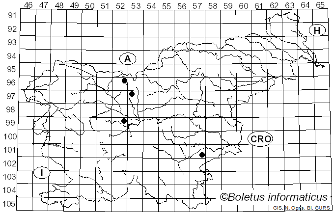 <i>Mucor</i> Fresen. (1850)