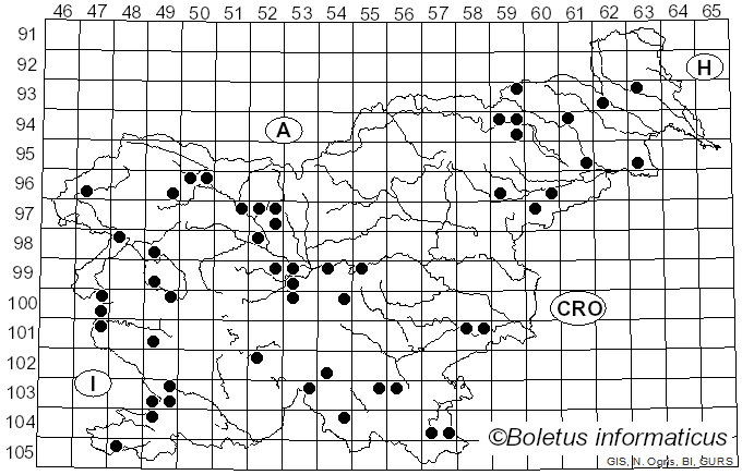 <i>Vuilleminia comedens</i> (Nees) Maire (1902)