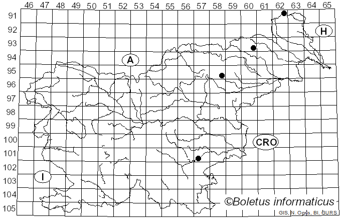 <i>Hypocrea lactea</i> (Fr.) Fr. (1849)