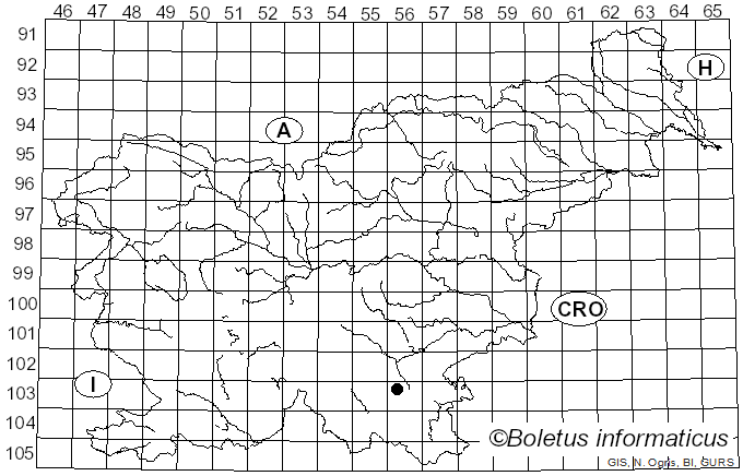 <i>Hyphodontia juniperi</i> (Bourdot & Galzin) J. Erikss. & Hjortstam (1976)