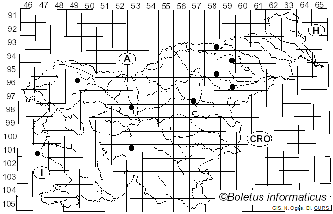 <i>Inocybe grammata</i> Quél. & Le Bret. (1880)