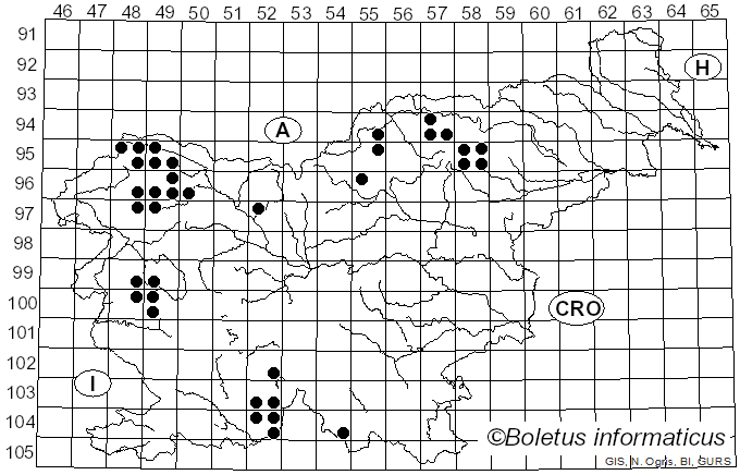 <i>Mycoblastus</i> Norman (1853)