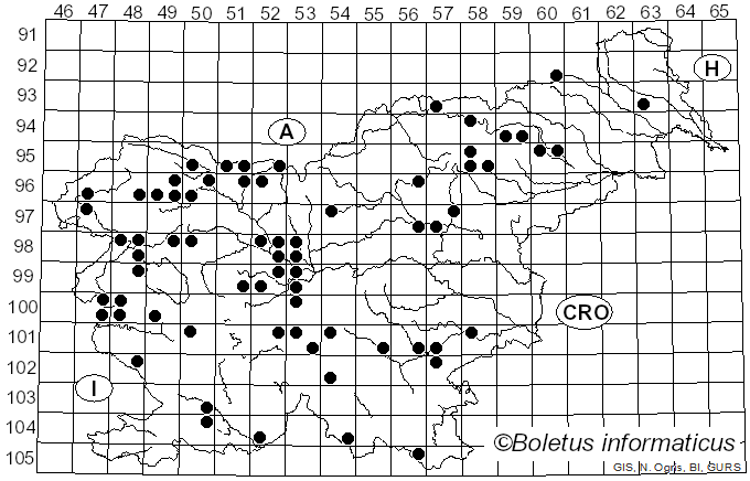 <i>Protostropharia semiglobata</i> (Batsch) Redhead, Moncalvo & Vilgalys (2013)