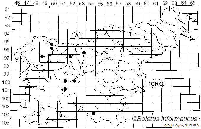 <i>Pipizella viduata</i> Linnaeus