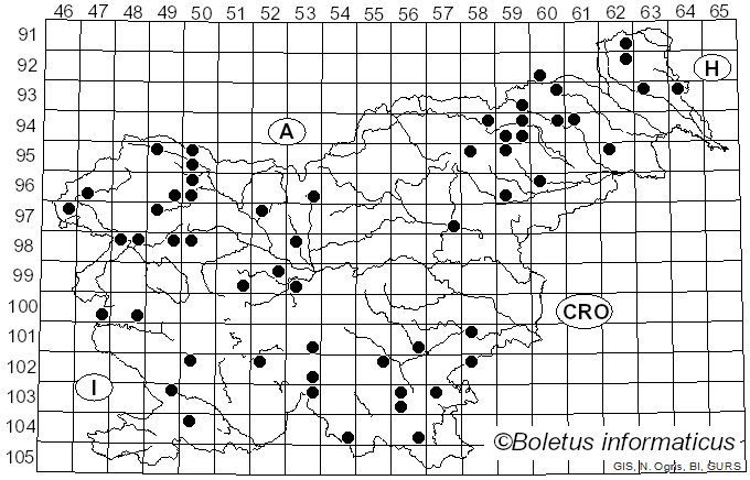 <i>Stereum rugosum</i> Pers. (1794)
