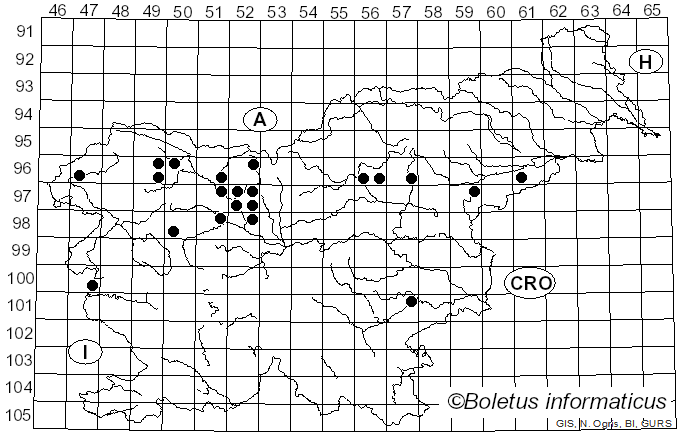 <i>Tolypocladium</i> W. Gams (1971)