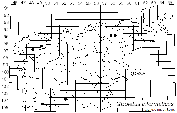 <i>Lecidea turgidula</i> Fr. (1824)