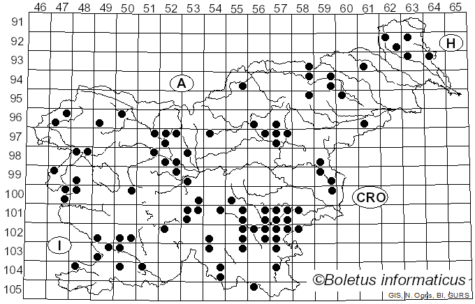 <i>Mycena polygramma</i> (Bull.) Gray (1821)
