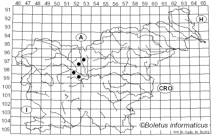 <i>Dermatea</i> Fr. (1849)