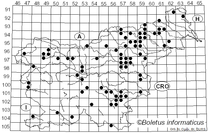 <i>Cortinarius brunneus</i> (Pers.) Fr. (1838)