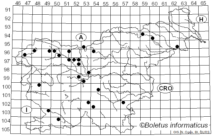 <i>Discina ancilis</i> (Pers.) Sacc. (1889)