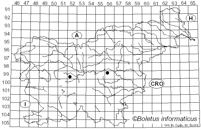 <i>Verpa agaricoides</i> (DC.) Pers.