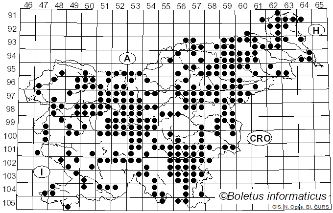 <i>Coprinus</i> Pers. (1797)
