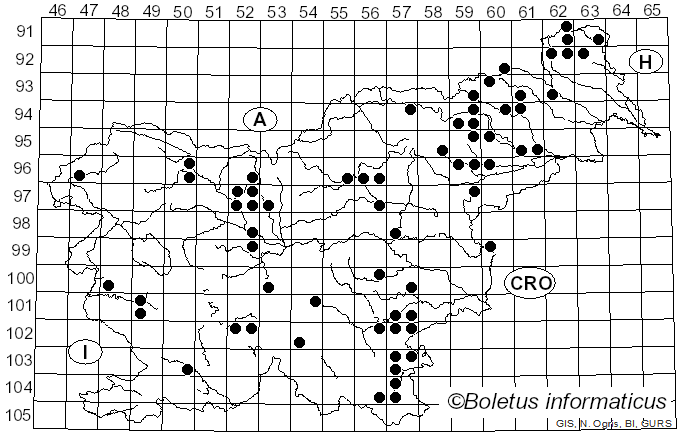 <i>Neofavolus</i> Sotome & T. Hatt. (2013)