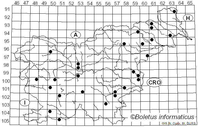 <i>Trichaptum fuscoviolaceum</i> (Ehrenb.) Ryvarden (1972)