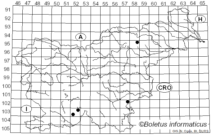<i>Rinodina pyrina</i> (Ach.) Arnold (1881)