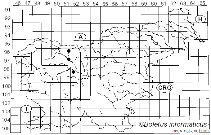 <i>Mucronella bresadolae</i> (Quél.) Corner (1970)
