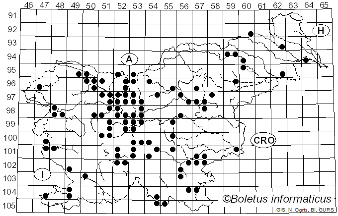 <i>Morchella esculenta</i> (L.) Pers. (1794)
