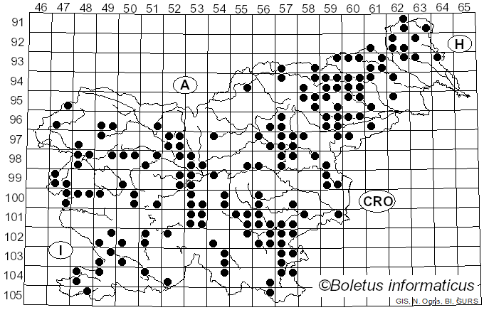 <i>Mycena galericulata</i> (Scop.) Gray (1821)