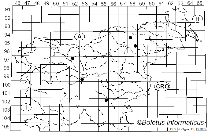<i>Podofomes trogii</i> (Fr.) Pouzar (1971)
