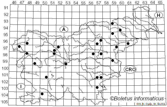 <i>Hygrocybe aurantiosplendens</i> R. Haller Aar. (1954)