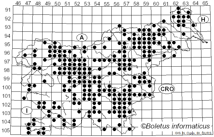 <i>Lyophyllum</i> P. Karst. (1881)