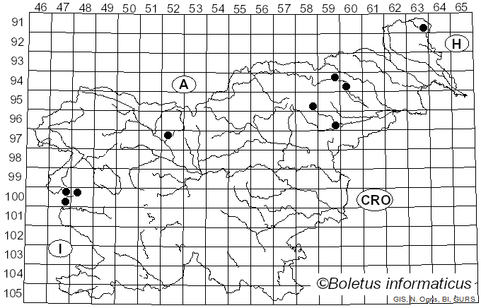 <i>Inocybe haemacta</i> (Berk. & Cooke) Sacc. (1887)
