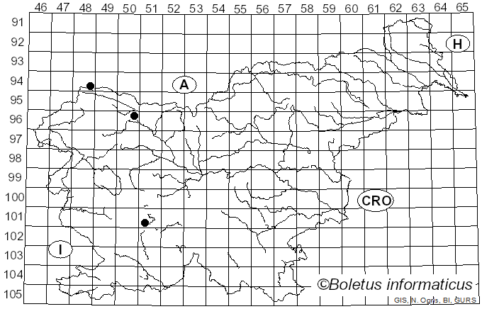 <i>Corinectria</i> C. González & P. Chaverri (2017)
