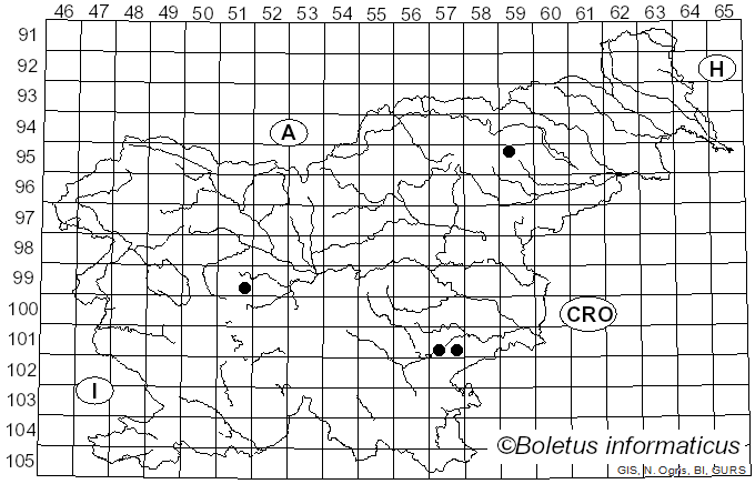<i>Russula camarophylla</i> Romagn. (1967)