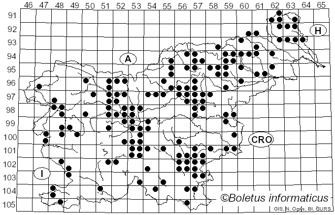 <i>Cortinarius bolaris</i> (Pers.) Fr. (1838)