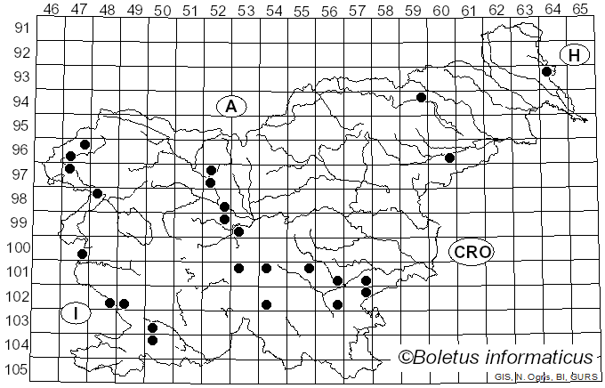 <i>Lulesia mundula</i> (Lasch) T.J. Baroni, N. Niveiro & B.E. Lechner (2023)