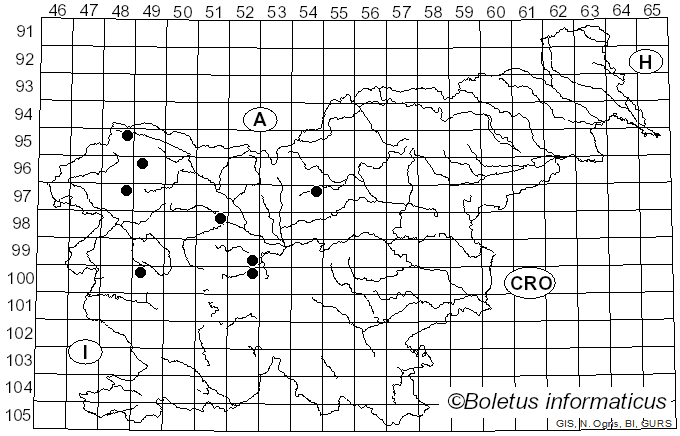 <i>Cheilosia vulpina</i> Meigen