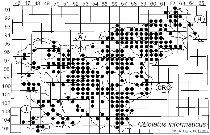 <i>Scleroderma</i> Pers. (1801)
