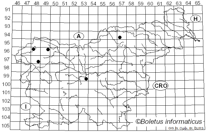 <i>Usnea fulvoreagens</i> (Räsänen) Räsänen (1935)