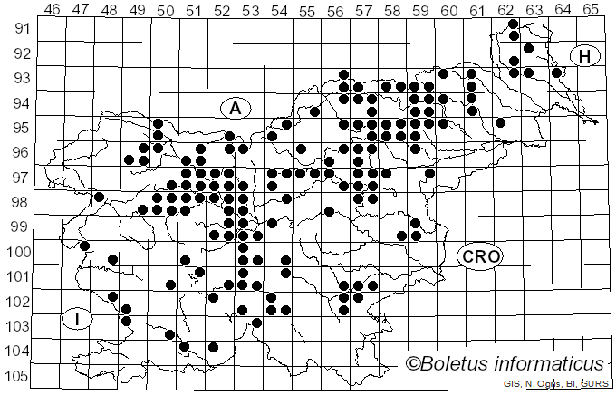 <i>Albatrellopsis confluens</i> (Alb. & Schwein.) Teixeira (1993)