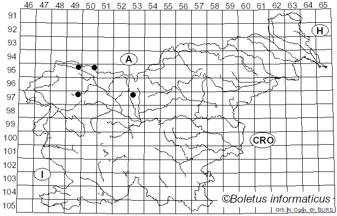 <i>Puccinia bistortae</i> (F. Strauss) DC. (1815)