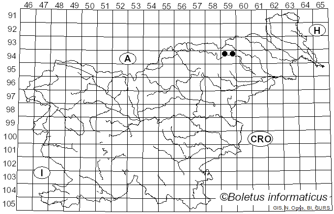 <i>Lawrynomyces capitatus</i> (J. Erikss. & Å. Strid) Karasiński (2013)