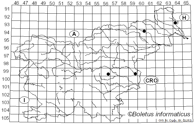 <i>Lopadostoma fagi</i> Jaklitsch, J. Fourn. & Voglmayr (2014)