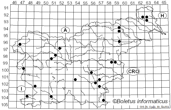 <i>Langermannia</i> Rostk. (1838)