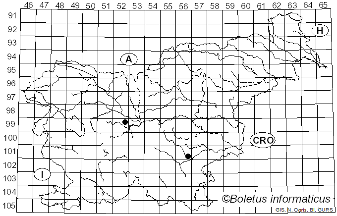 <i>Cortinarius paxilloides</i> (M.M. Moser) M.M. Moser (1967)