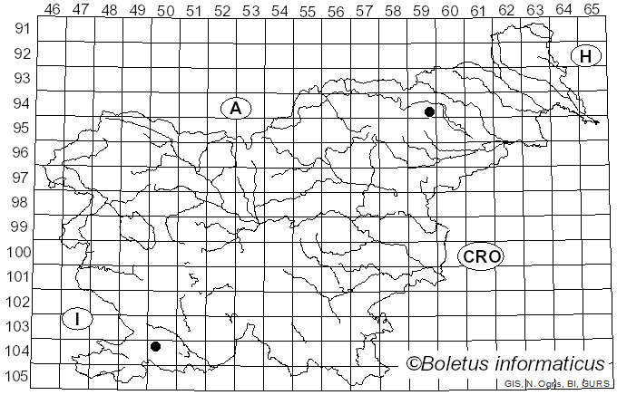 <i>Galerina heterocystis</i> (G.F. Atk.) A.H. Sm. & Singer (1958)