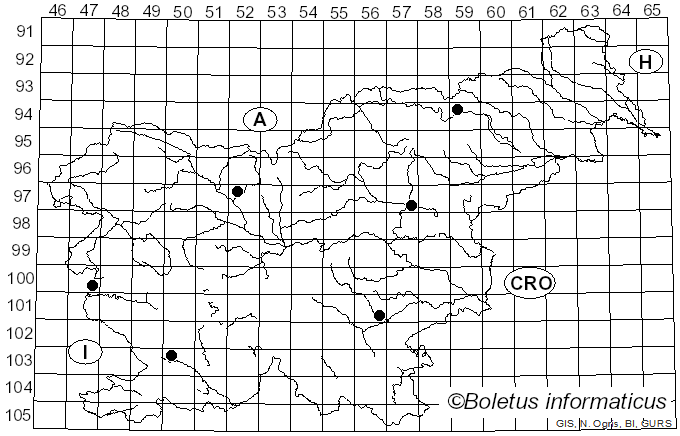 <i>Coprinellus radians</i> (Desm.) Vilgalys, Hopple & Jacq. Johnson (2001)
