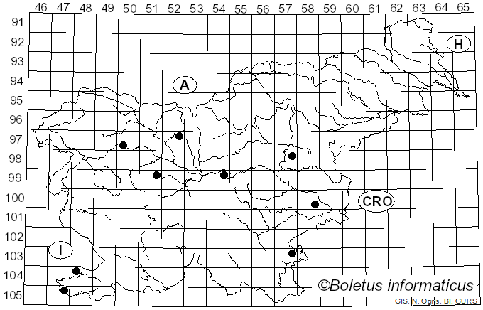 <i>Stigmella floslactella</i> Haworth (1828)