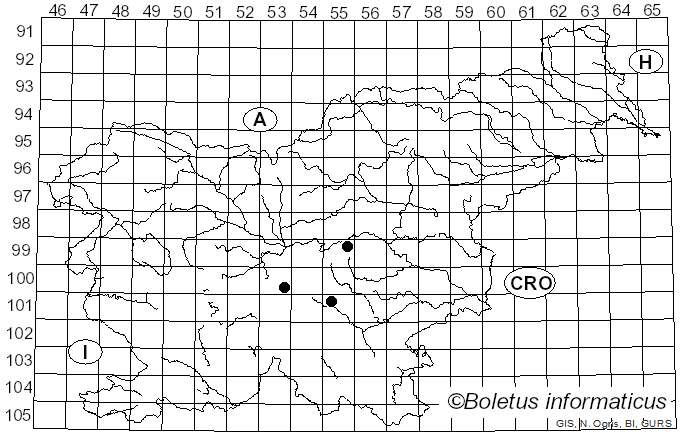 <i>Hemitrichia abietina</i> (Wigand) G. Lister (1911)