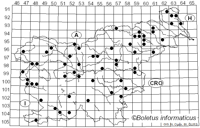 <i>Agaricus semotus</i> Fr. (1863)