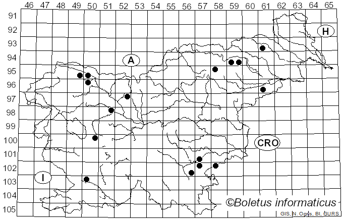 <i>Hydropodia subalpina</i> (Höhn.) Vizzini, Consiglio & M. Marchetti (2022)